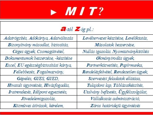 mit.jpg